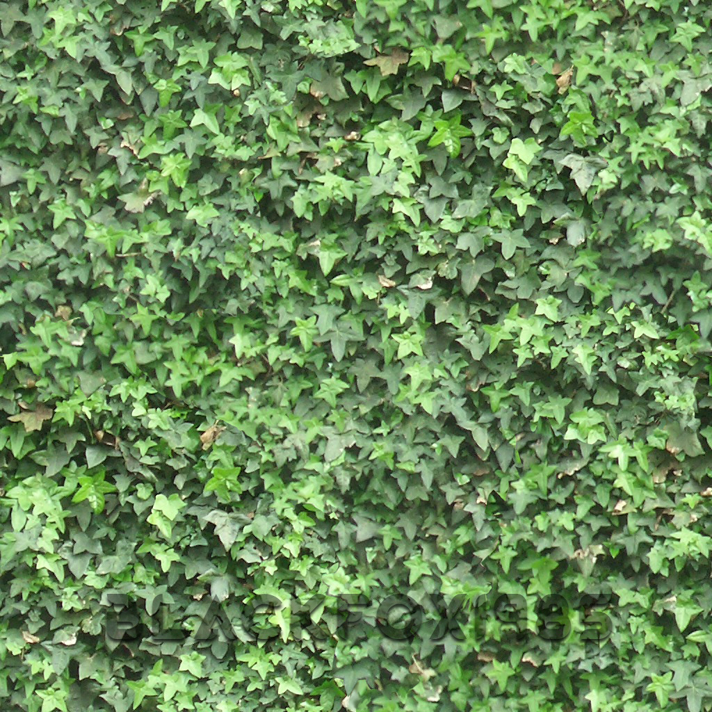 Voeltner_Ryan-Seamless-Texture-Complete-Display